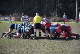 dsc_3543-3.jpg - JPEG - 643.8 ko - 2000×1333 px