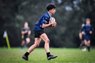 dsc_3548-3.jpg - JPEG - 252.5 ko - 2000×1333 px