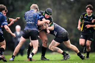 dsc_3553-5.jpg - JPEG - 382.3 ko - 2000×1332 px