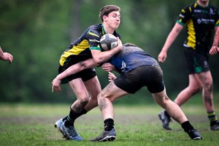 dsc_3563-3.jpg - JPEG - 317 ko - 2000×1333 px