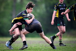 dsc_3565-3.jpg - JPEG - 317.9 ko - 2000×1335 px