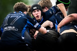 dsc_3649-3.jpg - JPEG - 290 ko - 2000×1333 px