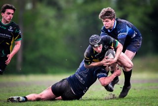 dsc_3671-3.jpg - JPEG - 340.9 ko - 2000×1333 px