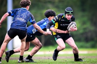 dsc_3691-4.jpg - JPEG - 393.2 ko - 2000×1334 px