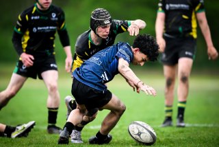 dsc_3724.jpg - JPEG - 339.6 ko - 2000×1333 px