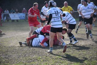 dsc_3799-2.jpg - JPEG - 604.2 ko - 2000×1333 px