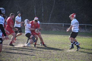 dsc_3805-2.jpg - JPEG - 494.4 ko - 2000×1333 px