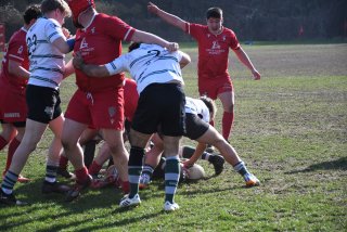 dsc_3821-3.jpg - JPEG - 575 ko - 2000×1333 px