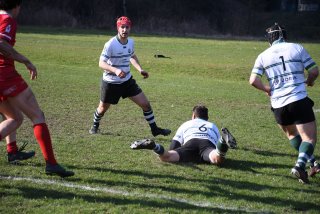 dsc_3901-3.jpg - JPEG - 557.7 ko - 2000×1333 px