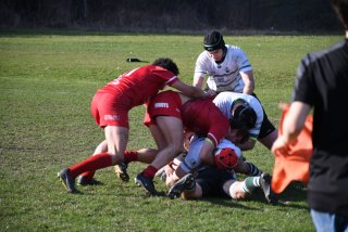 dsc_3904-2.jpg - JPEG - 453.9 ko - 2000×1333 px