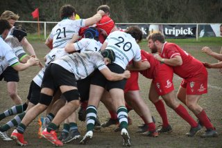 dsc_4192-2.jpg - JPEG - 407.5 ko - 2000×1333 px