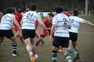 dsc_4236-2.jpg - JPEG - 386.7 ko - 2000×1333 px