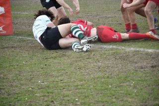 dsc_4240-3.jpg - JPEG - 420.4 ko - 2000×1333 px