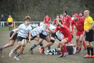 dsc_4333-2.jpg - JPEG - 380.2 ko - 2000×1333 px