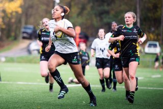 dsc_4535-5.jpg - JPEG - 378.1 ko - 2000×1335 px