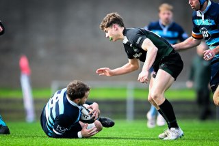 dsc_6885.jpg - JPEG - 375.2 ko - 2000×1335 px