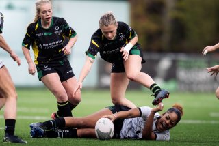 dsc_8928.jpg - JPEG - 331.4 ko - 2000×1332 px