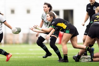 dsc_9119-4.jpg - JPEG - 332.6 ko - 2000×1334 px