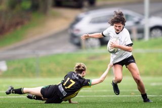 dsc_9146.jpg - JPEG - 317 ko - 2000×1333 px