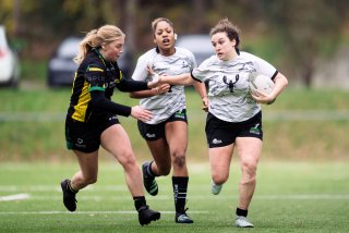 dsc_9155-2.jpg - JPEG - 347 ko - 2000×1334 px