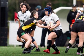 dsc_9227.jpg - JPEG - 372.2 ko - 2000×1333 px