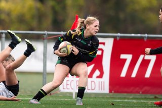 dsc_9244-3.jpg - JPEG - 363.7 ko - 2000×1333 px