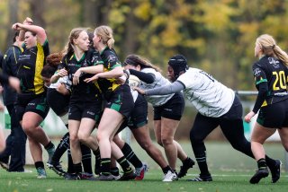 dsc_9348.jpg - JPEG - 462.7 ko - 2000×1332 px