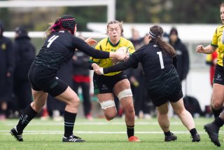 dsc_9542-2.jpg - JPEG - 336.6 ko - 2000×1333 px