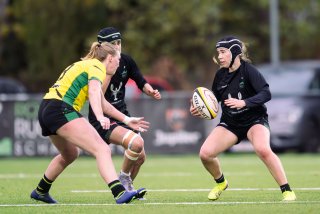 dsc_9861.jpg - JPEG - 331.8 ko - 2000×1333 px