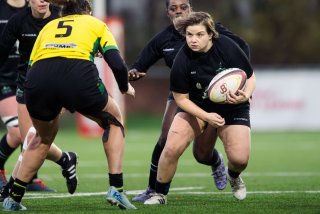 dsc_9950-2.jpg - JPEG - 363 ko - 2000×1333 px