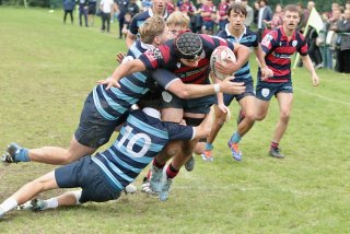 gp5f2835.jpg - JPEG - 473.3 ko - 2000×1333 px