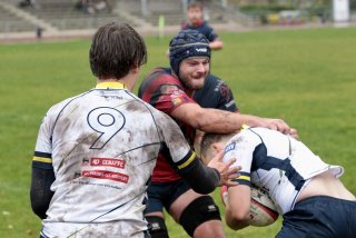 gp5f5244.jpg - JPEG - 322.2 ko - 2000×1333 px