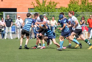 img_0113-7.jpg - JPEG - 534.7 ko - 2000×1333 px