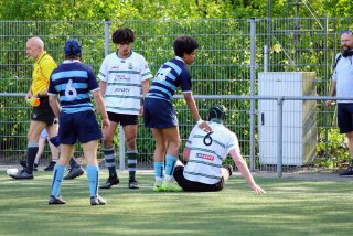 img_0247-3.jpg - JPEG - 643.1 ko - 2000×1333 px