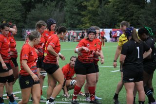 img_0911-2.jpg - JPEG - 424.5 ko - 2000×1333 px