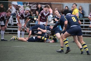 img_1814-2.jpg - JPEG - 402.6 ko - 2000×1333 px