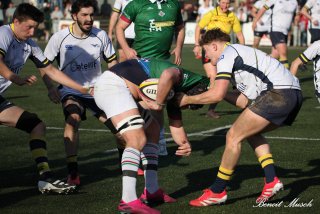 img_2181-2.jpg - JPEG - 425.1 ko - 2000×1333 px