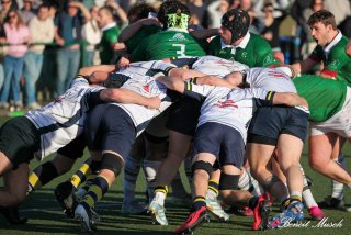 img_2346.jpg - JPEG - 443.7 ko - 2000×1333 px