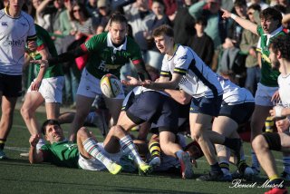 img_2412-2.jpg - JPEG - 439.1 ko - 2000×1333 px