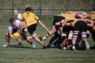 img_3003.jpg - JPEG - 401.2 ko - 2000×1333 px