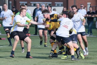 img_3085-2.jpg - JPEG - 226.8 ko - 2000×1333 px