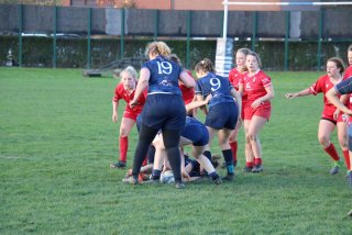 img_3130.jpg - JPEG - 140.2 ko - 1500×1000 px