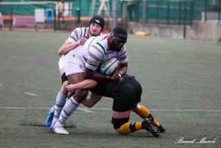 img_4250-3.jpg - JPEG - 422.8 ko - 2000×1333 px