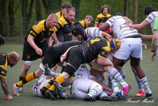 img_4288-3.jpg - JPEG - 499.1 ko - 2000×1333 px