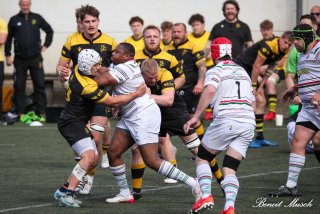 img_4400-5.jpg - JPEG - 455.7 ko - 2000×1333 px