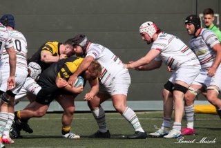 img_4544.jpg - JPEG - 387.3 ko - 2000×1333 px