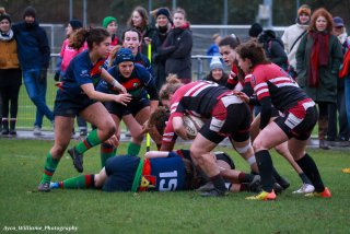 img_4831-2.jpg - JPEG - 423.2 ko - 2000×1334 px