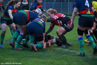 img_5342-2.jpg - JPEG - 441.9 ko - 2000×1333 px