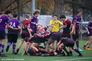 img_7900.jpg - JPEG - 423.1 ko - 2000×1333 px