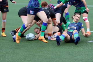 img_8329.jpg - JPEG - 447.4 ko - 2000×1333 px